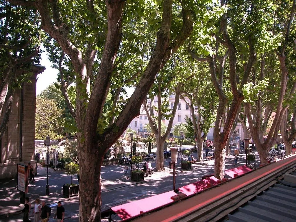 Hotel Alizéa Avignon France