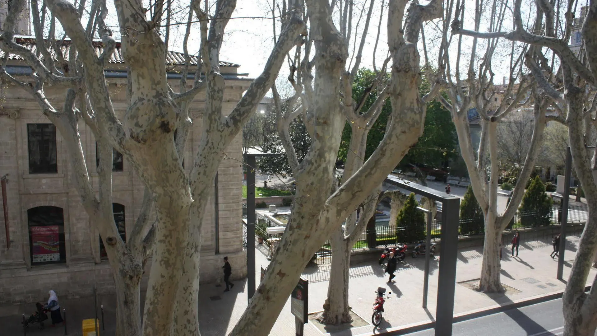 Hotel Alizéa Avignon